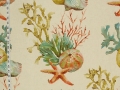 Reef-watercolor-nn-bz